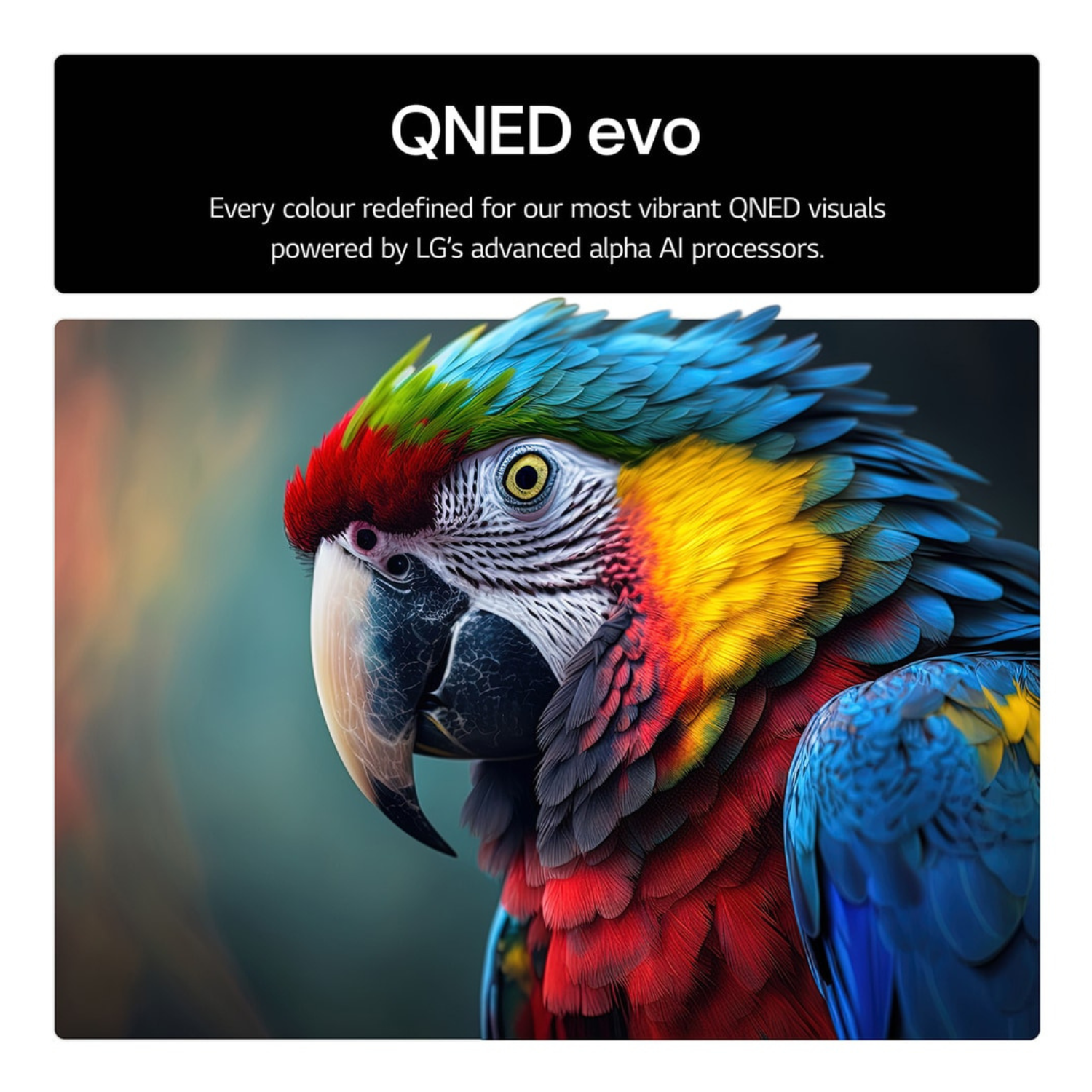 QNED evo Colour