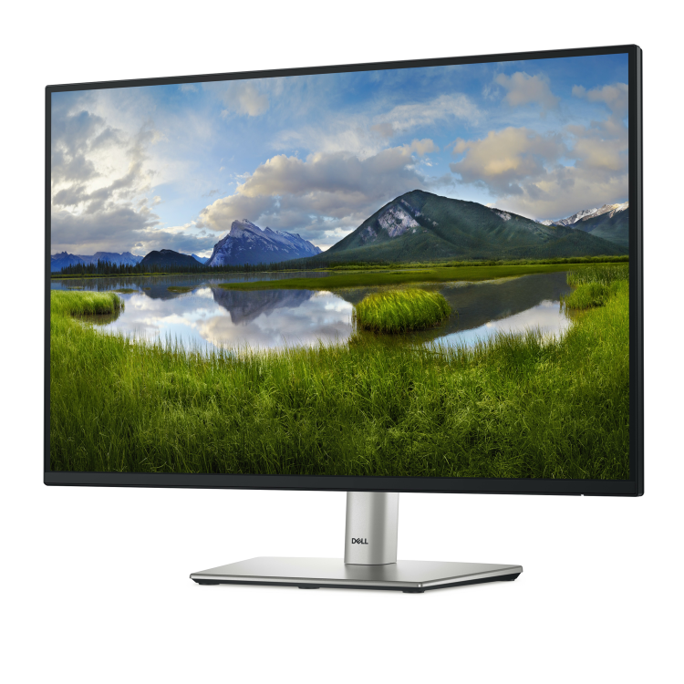 Dell P2425 24" IPS WUXGA 100Hz USB-C Monitor