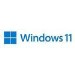 Microsoft Windows 11 Pro 64bit All Language ESD Operating System Software
