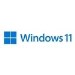 Microsoft Windows 11 Home 64bit All Language ESD Operating System Software