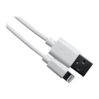OEM 1 Meter USB 2.0 MFI Lightning Cable