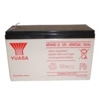 UPS Battery NPW45-12