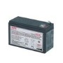 APC Replacement Battery Cartridge #17 - UPS battery - Lead Acid