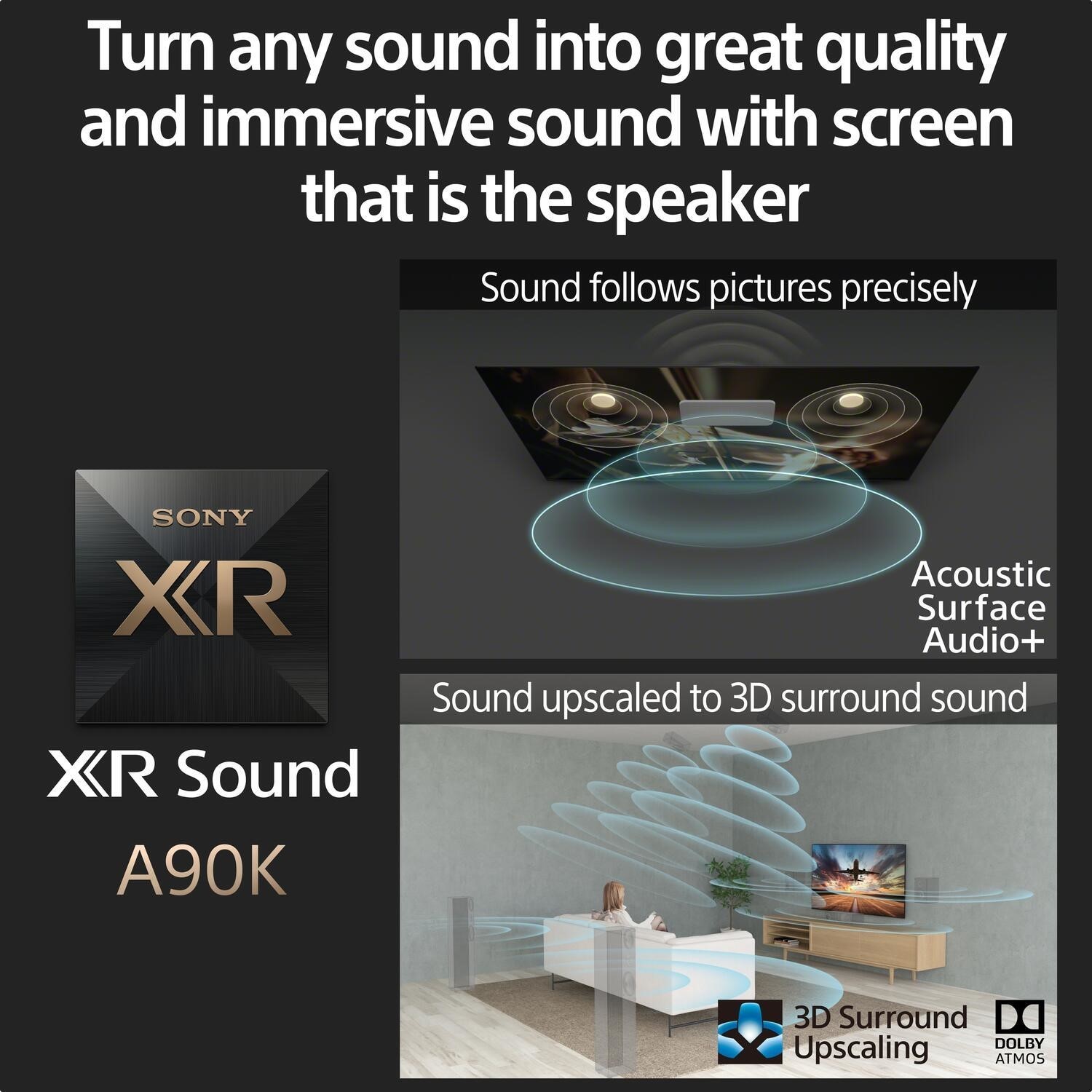 Acoustic Surface Audio Plus
