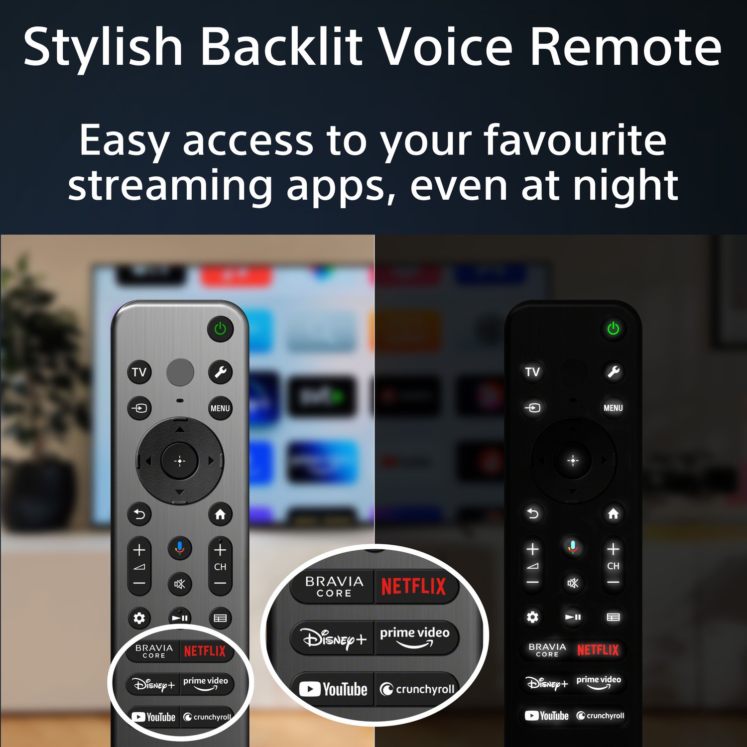 Backlit Voice Remote