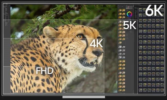 6K Resolution and 224 PPI Ultra-High Pixel Density