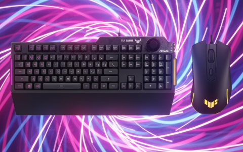 Ergonomic Comfort & Customisation