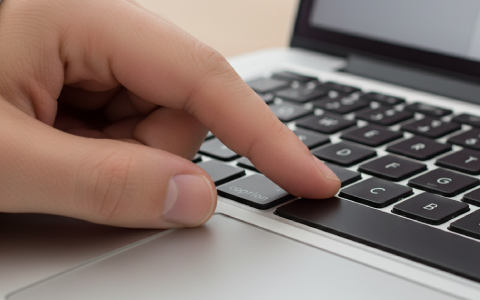 Step 1. Hold the Option Key: 